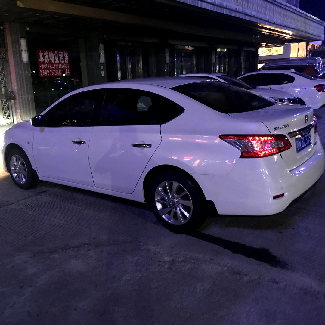 小马