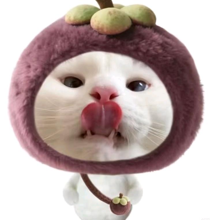 山竹的种草日记