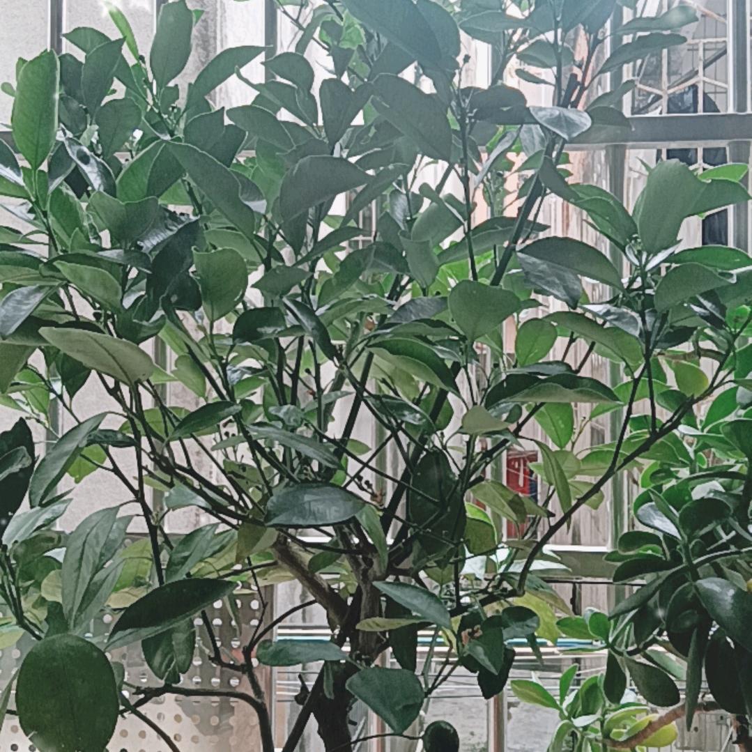 我挺好