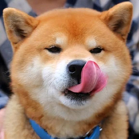 🌈🌈🌈呀哈比比