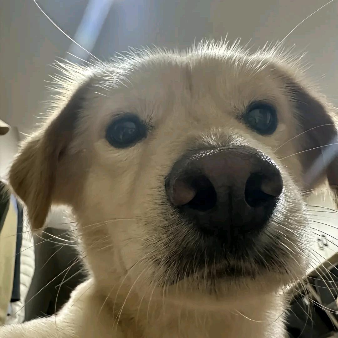 为爱执着才叫爱