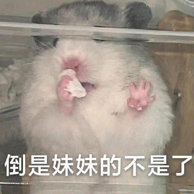 🌈小王呀