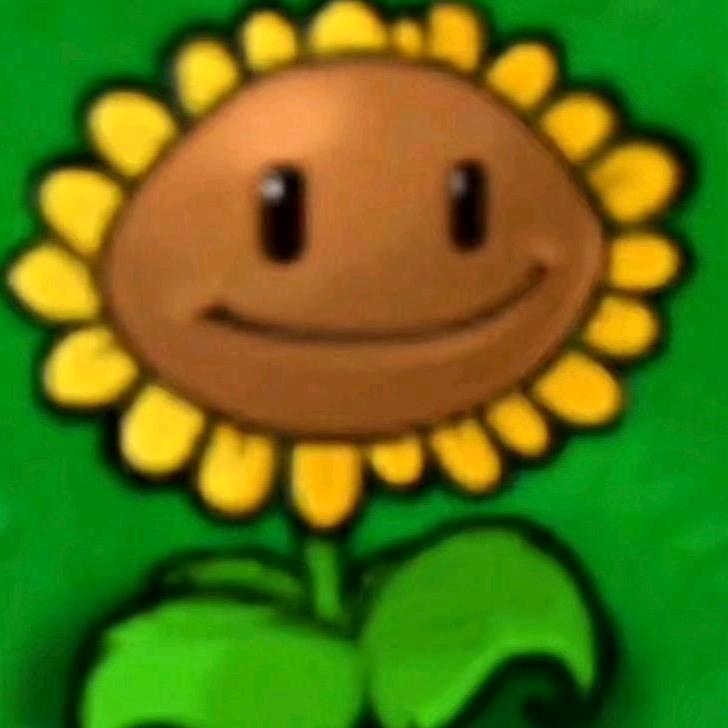 超级无敌的向日葵🌻