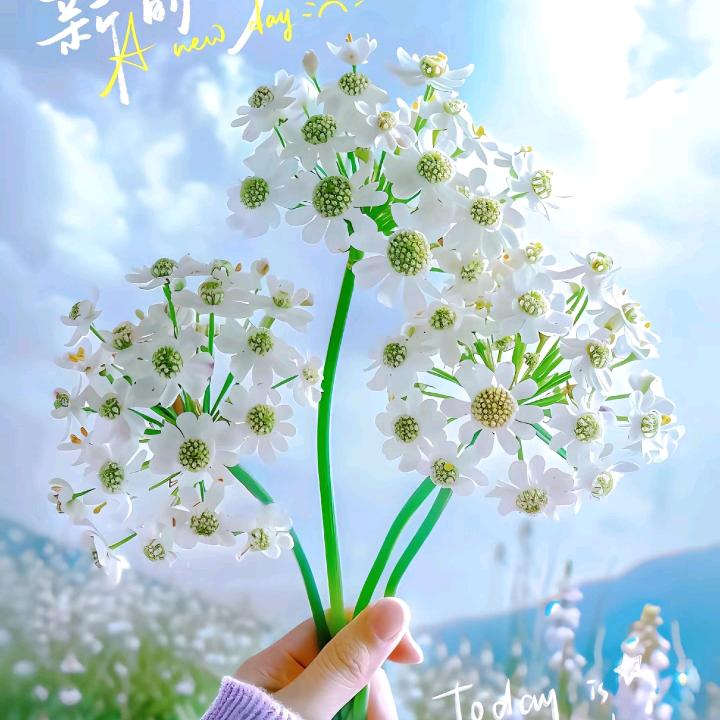 天佑吾爱