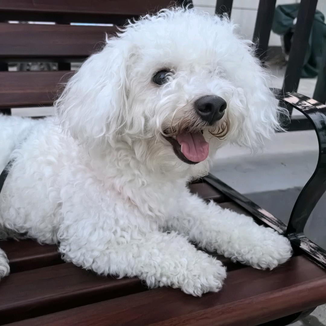 丢了自己的灵魂卍悟道