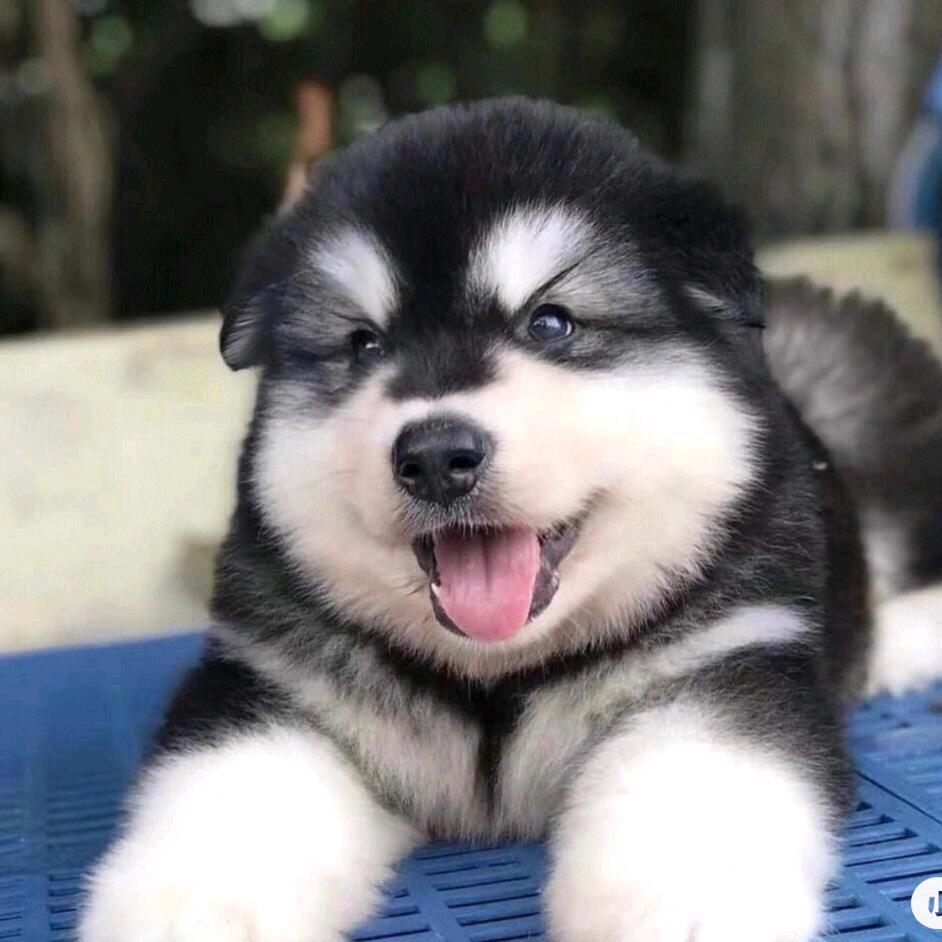 睡觉也要踹手手