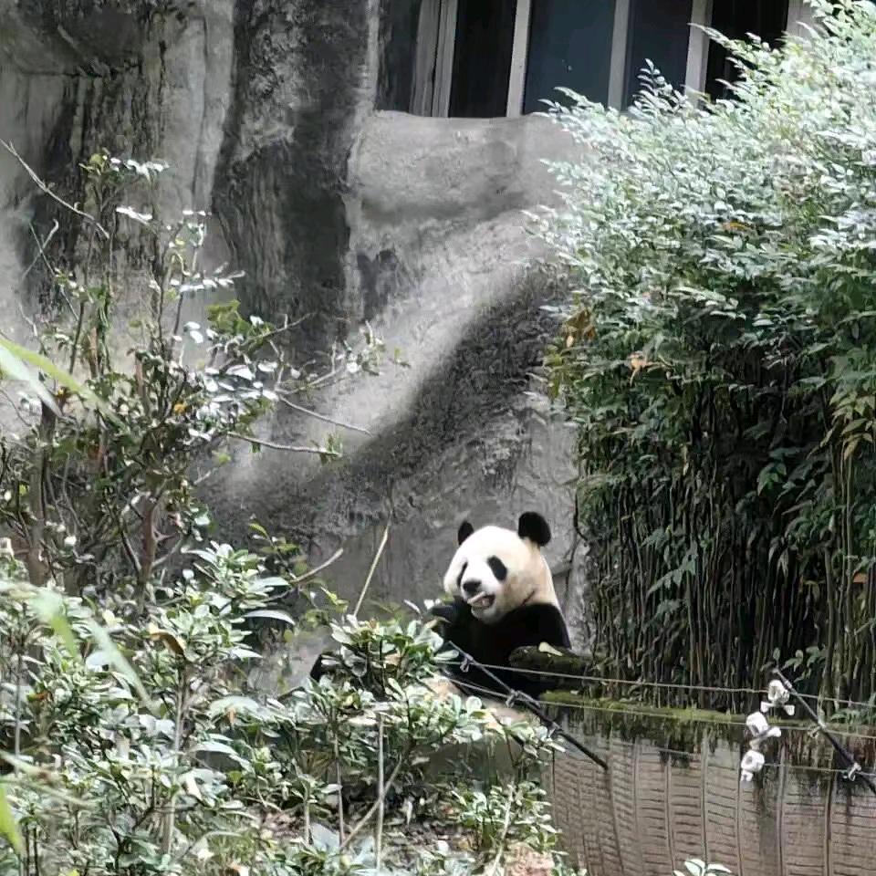 开拓进取