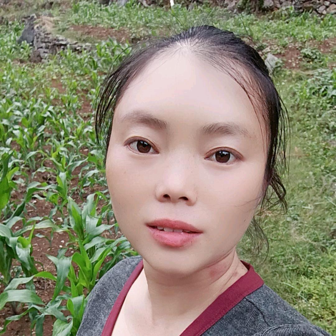 昆明丰庆饲料在董干开发区