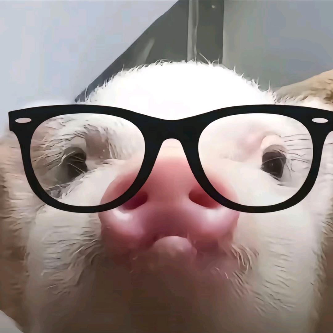 许愿树