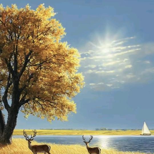 #心稳🌾路顺#🍀