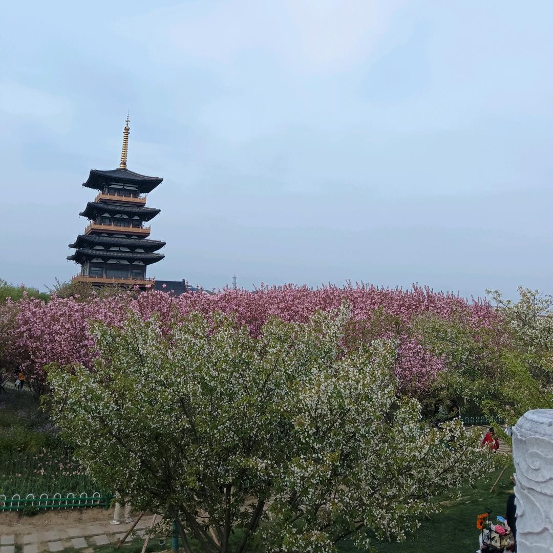 友谊地久天长