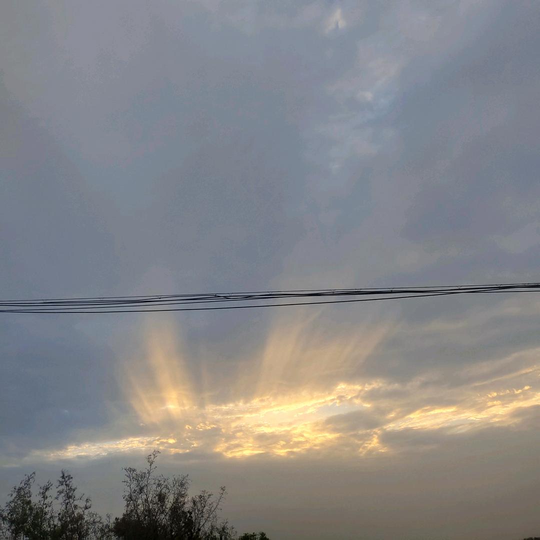 会后空翻的辣椒精