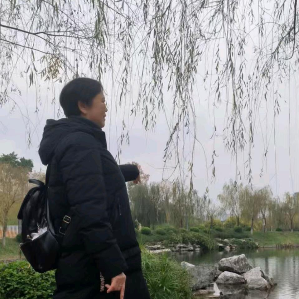 雨后，阳光