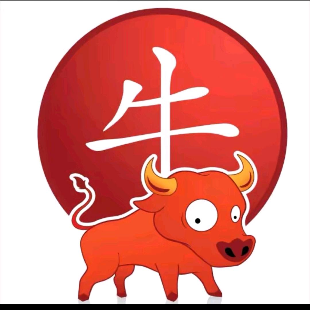 龙哥做t