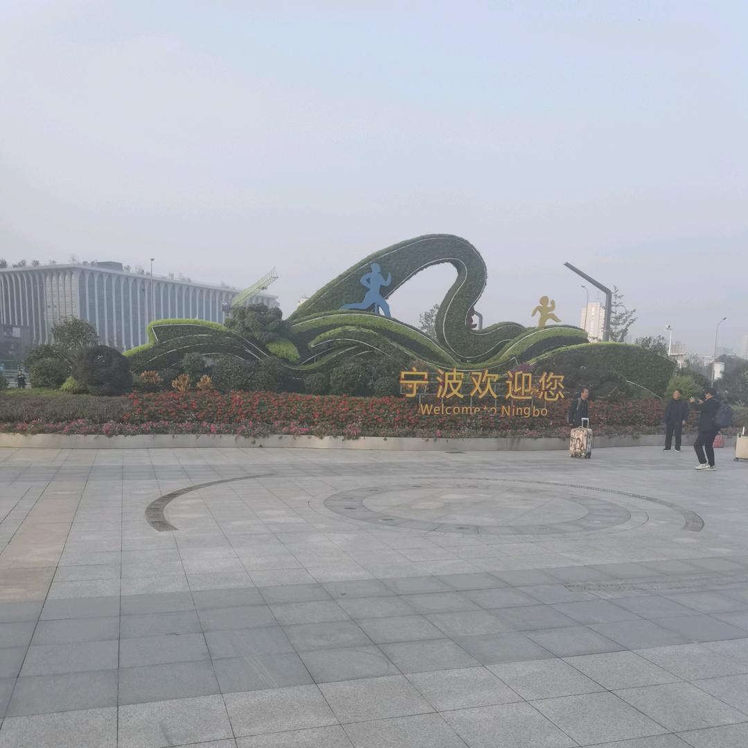 随心