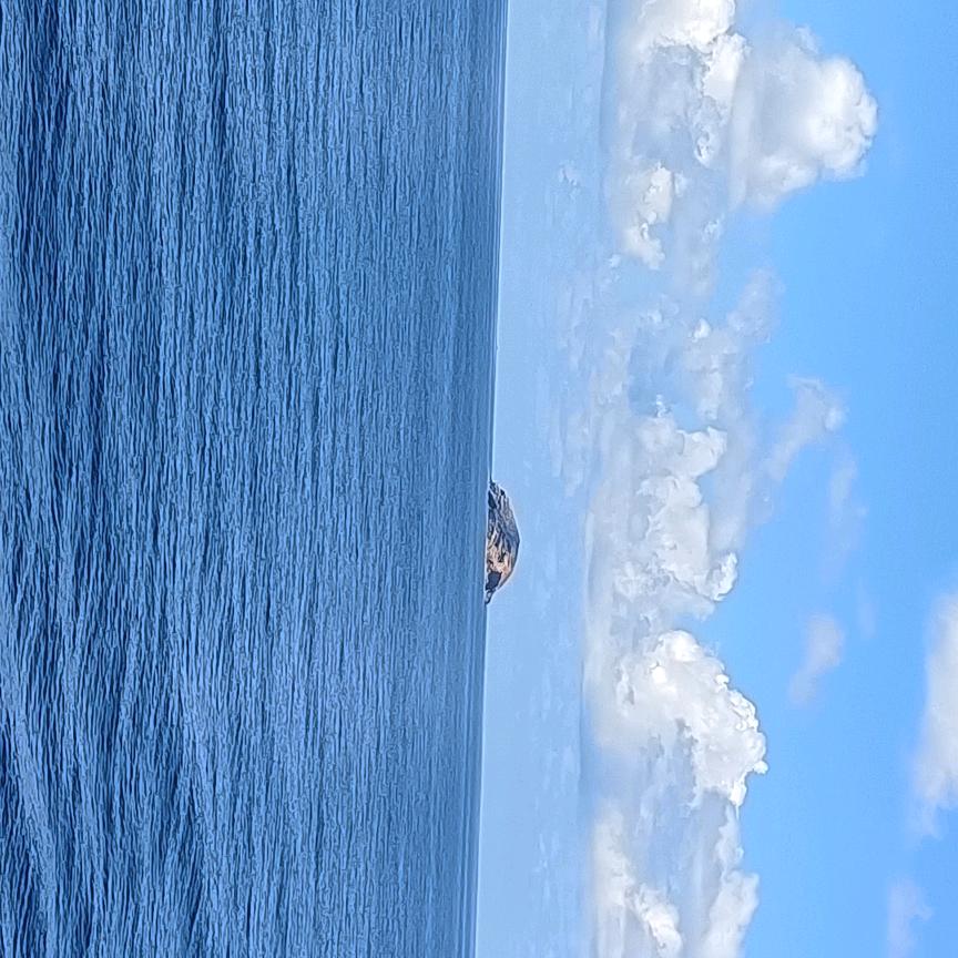 浮生如梦