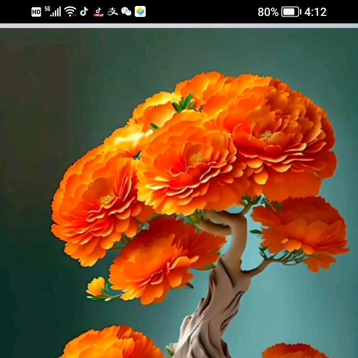 珍惜有你