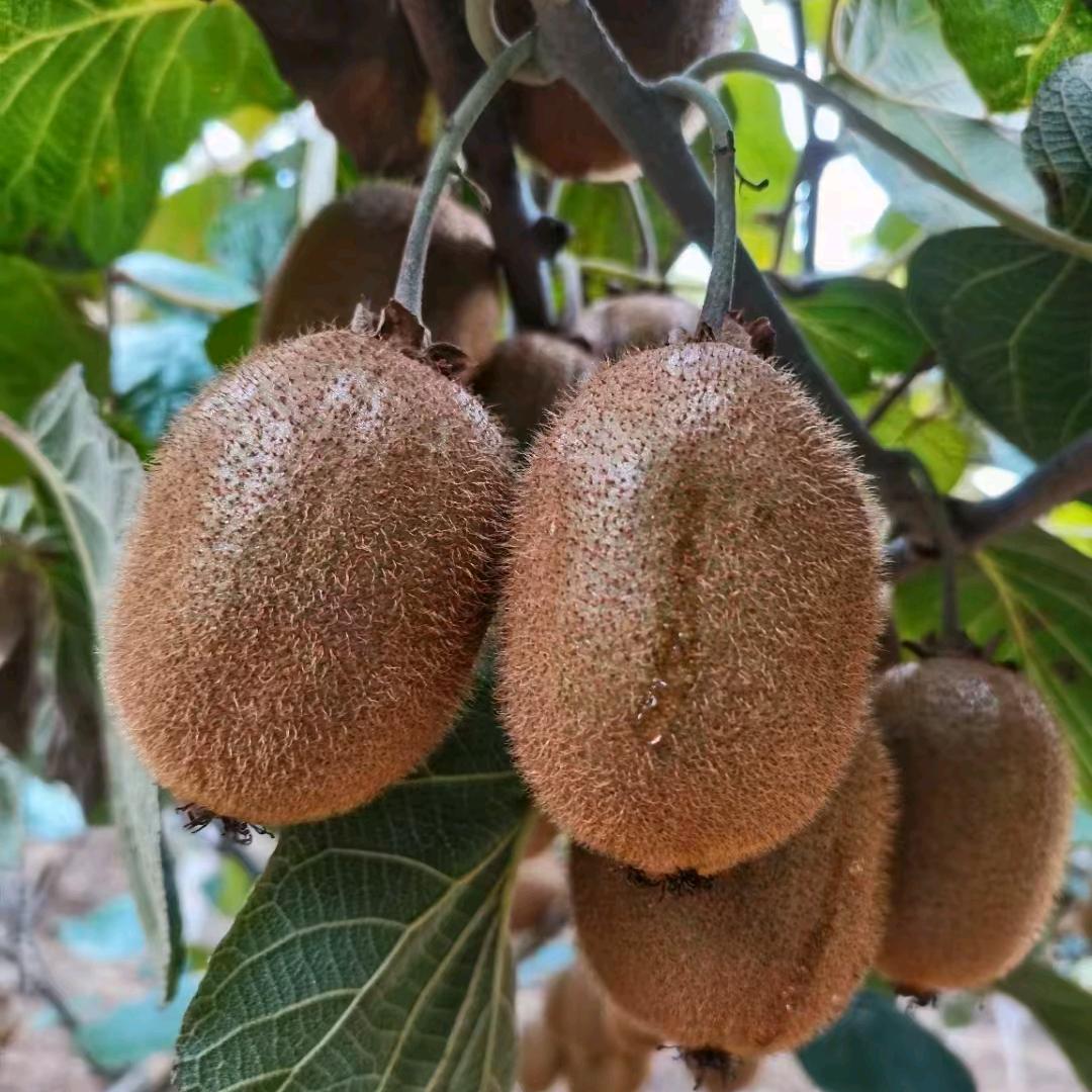 514389且歌且行【818】