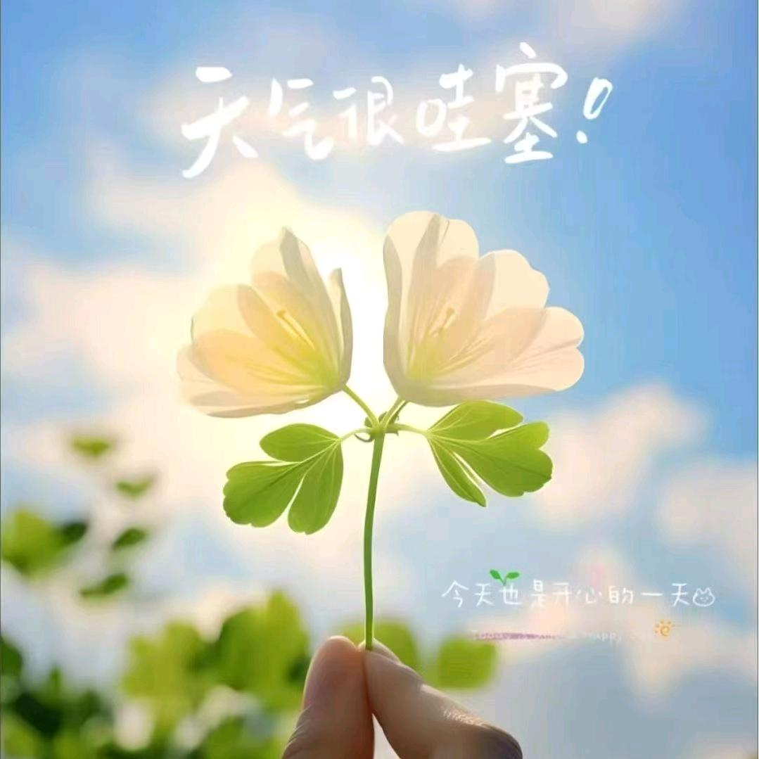 元元