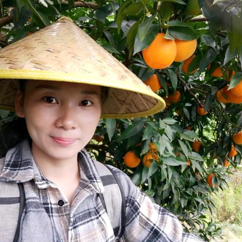 老张种植