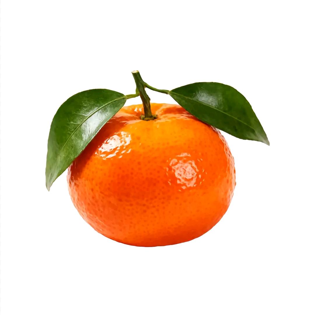 🐓老母鸡养殖户