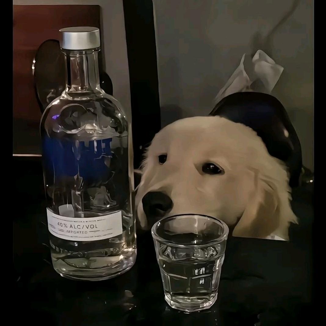 音诉保网络专卖店