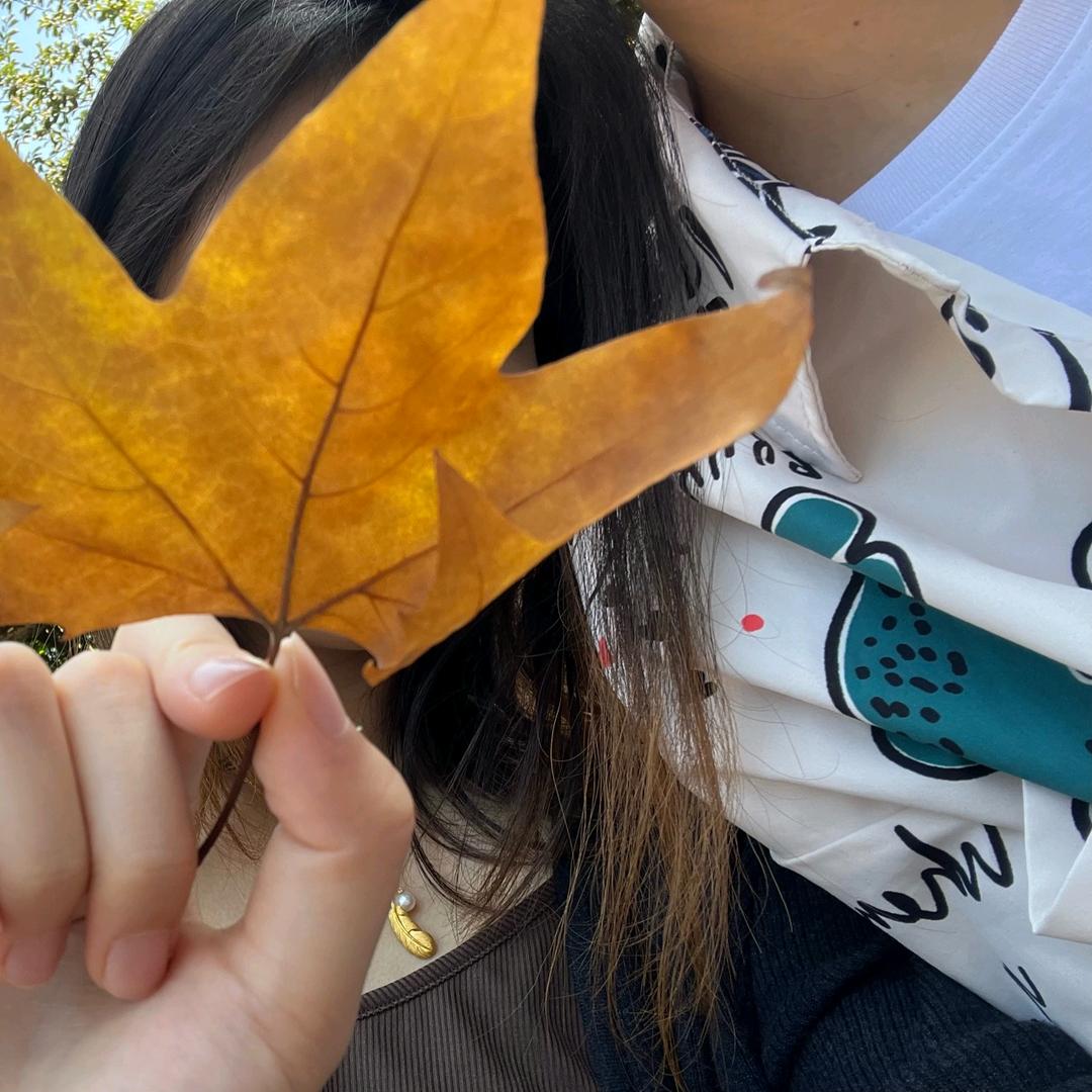 风酱的云