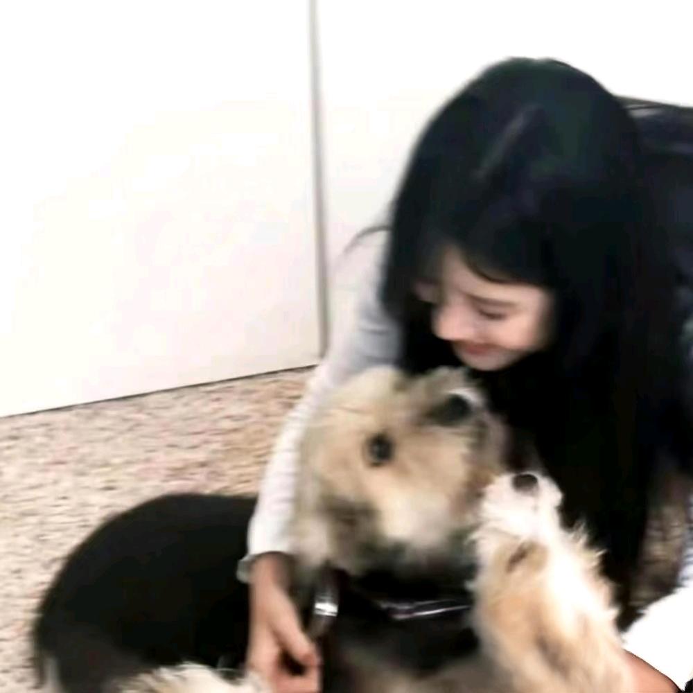 Ö椰(努力学习版)