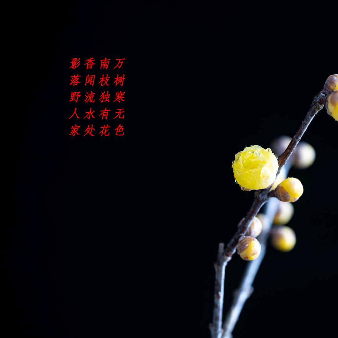 唐龙塑胶