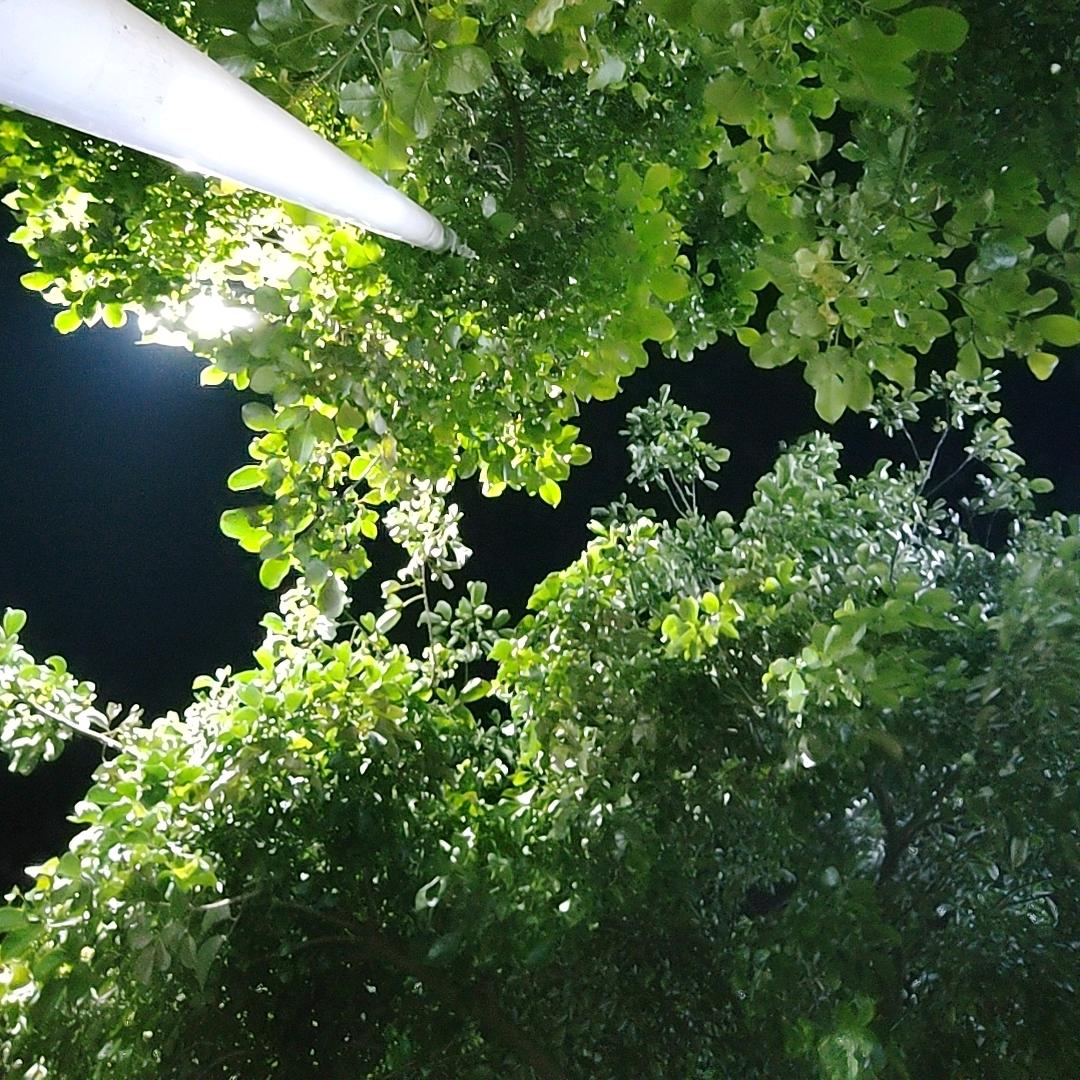 ღ♡南风知我意♡ღ