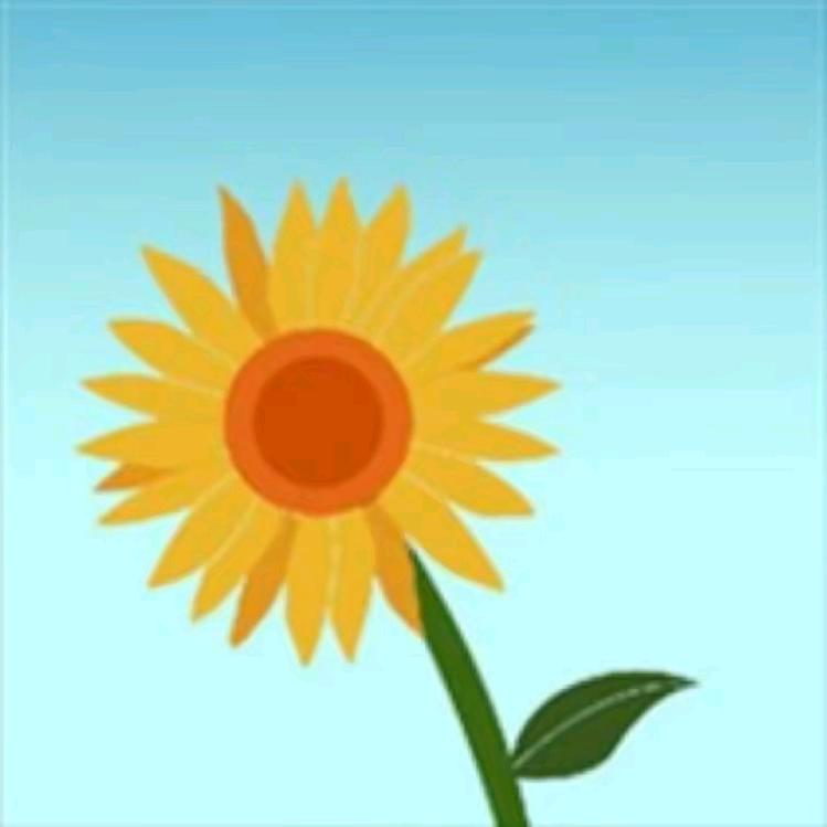 @向日葵🌻