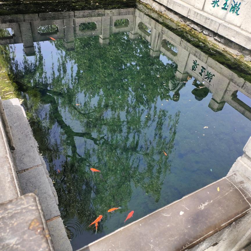 静心❤️
