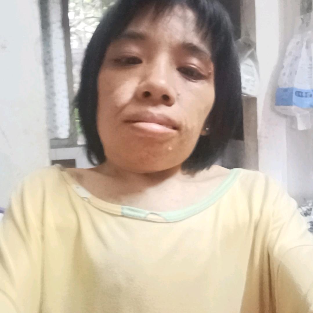 努力飞翔的燕子