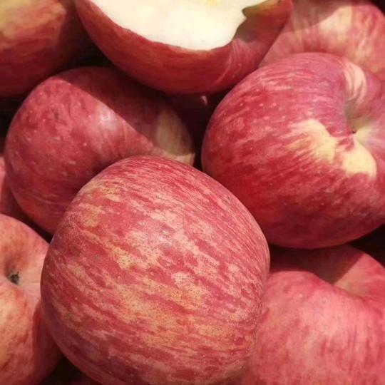 苹果🍎探险者🍎