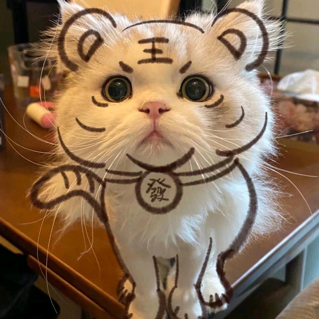 瞾小二