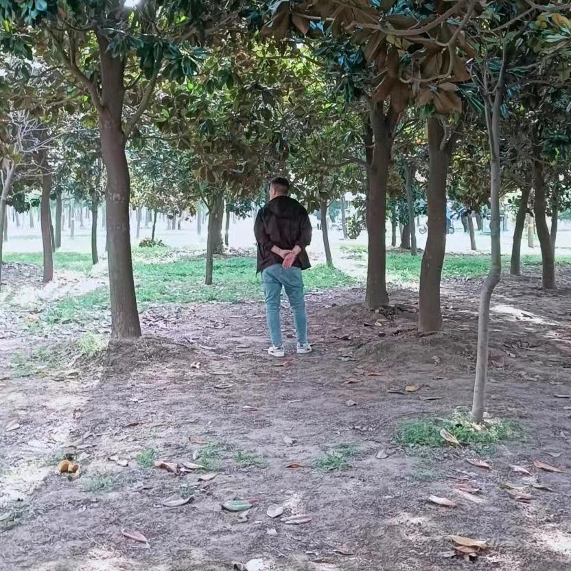 .......@