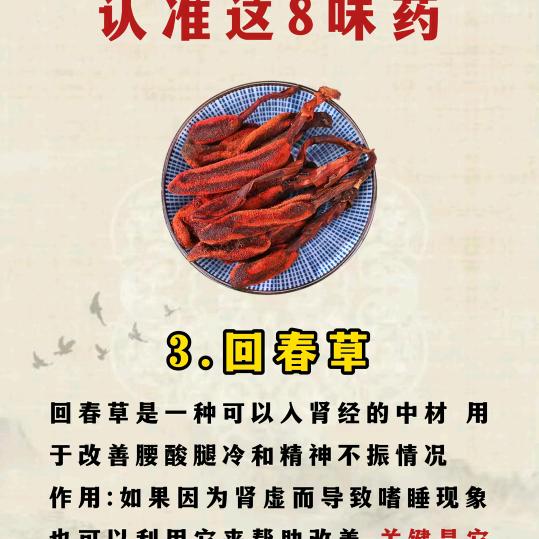 你大敊