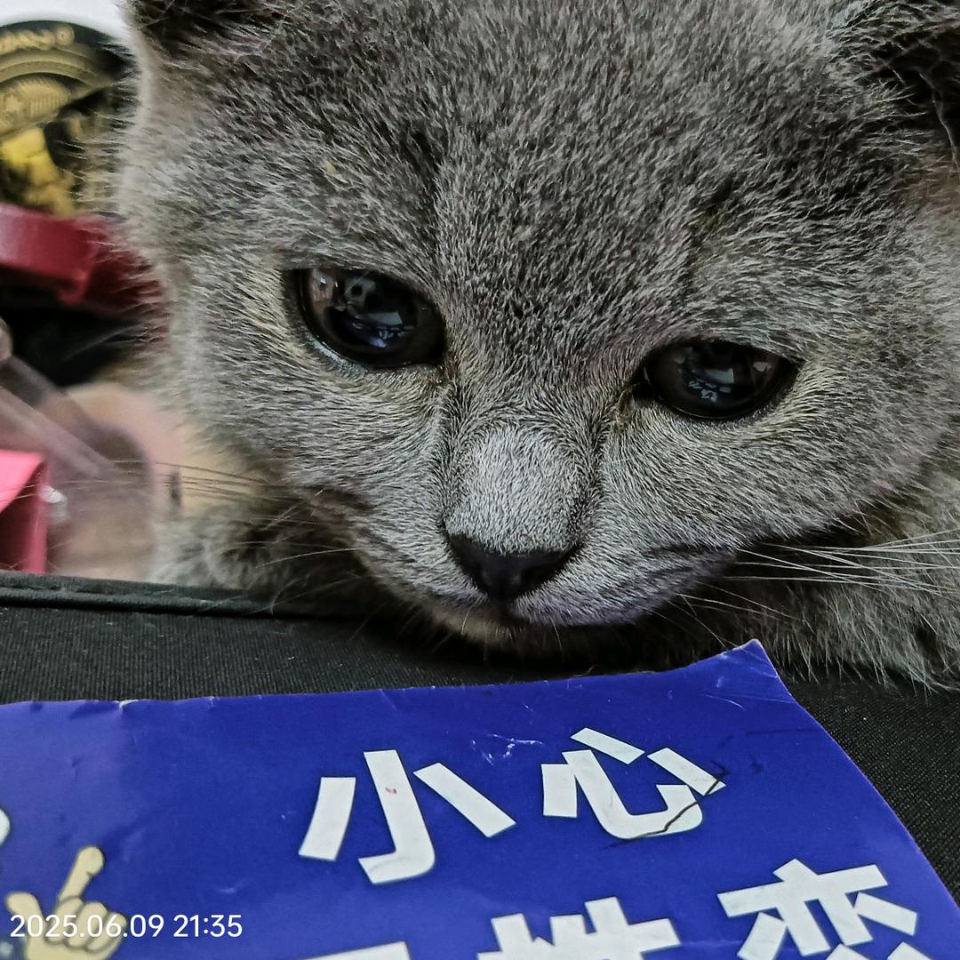 嘻八