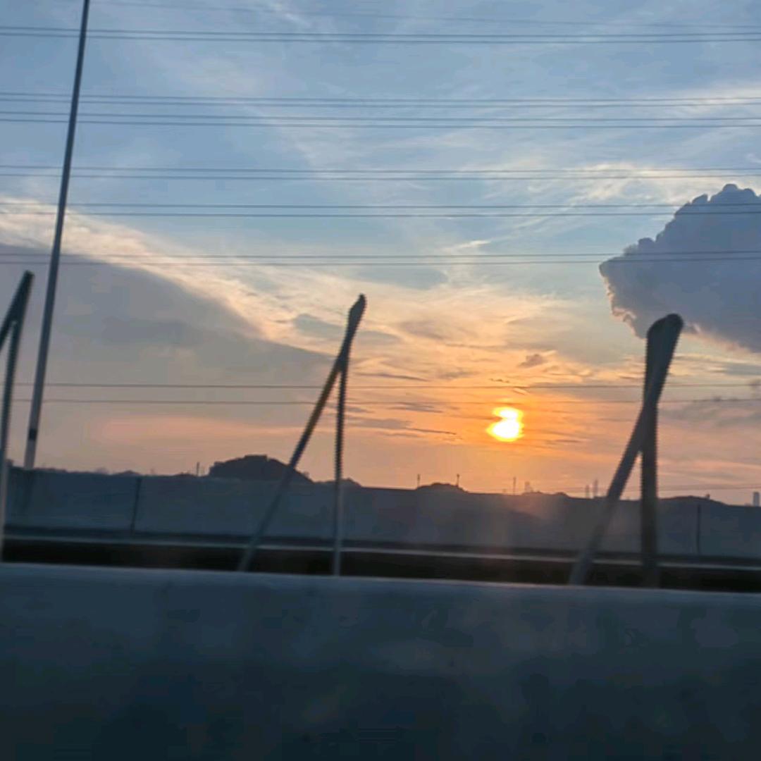 南风知我意逍遥🌿