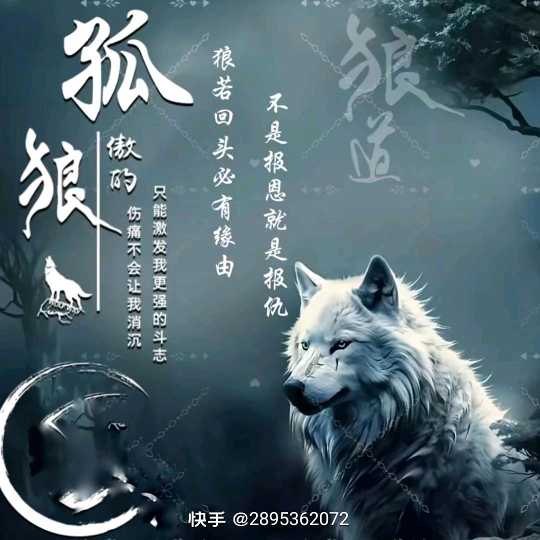 汉子!!!