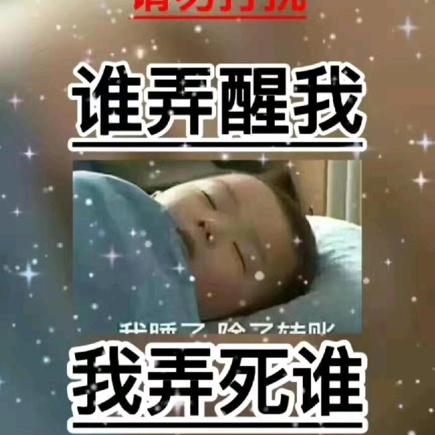 懒得取名