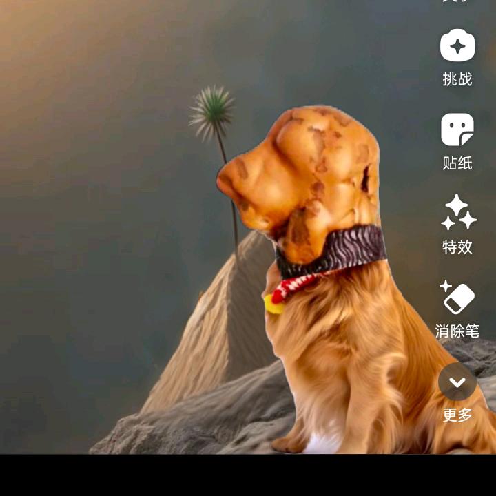 糖歌🔥！