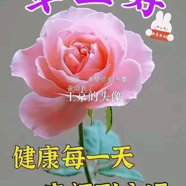王京