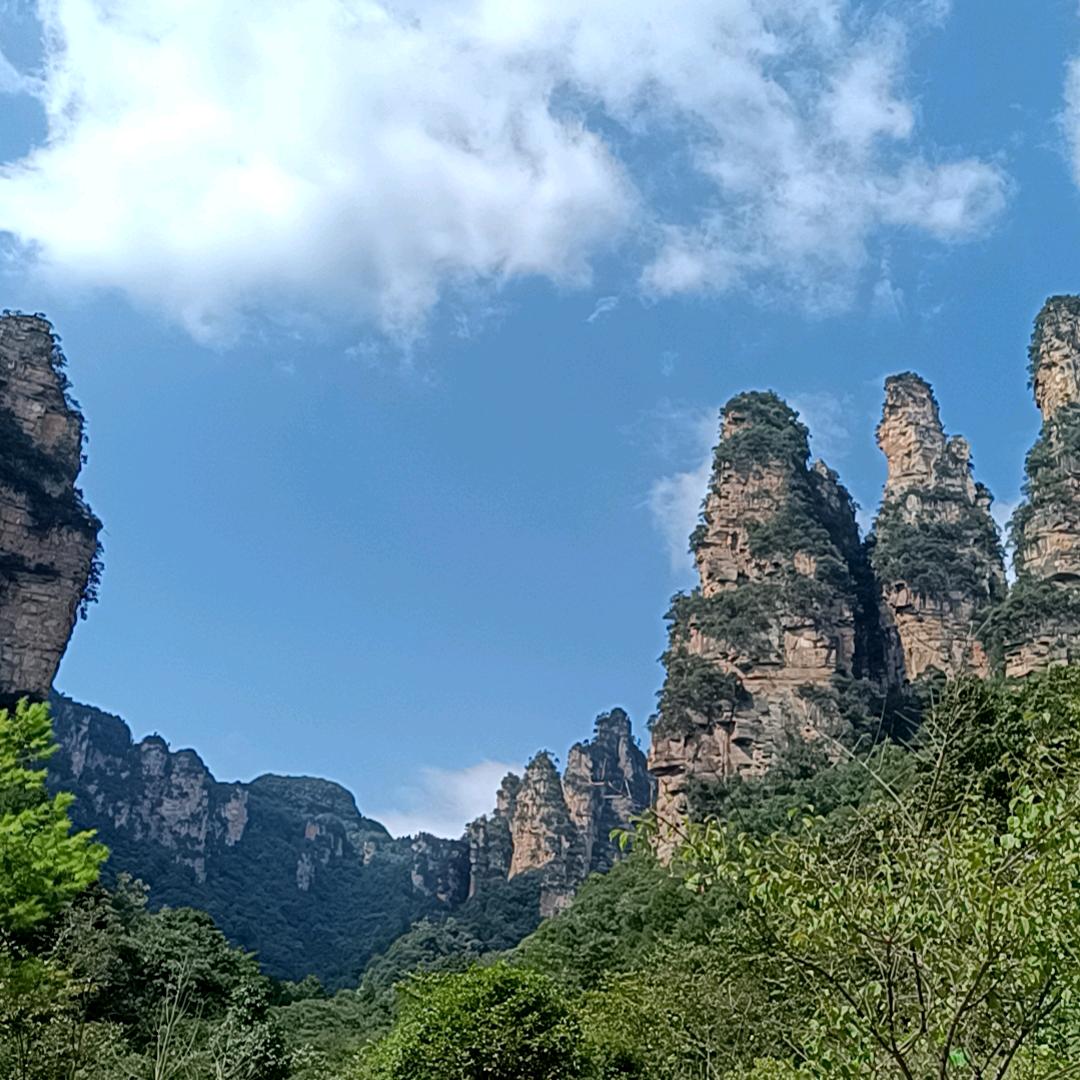 荇赱嘚旅途
