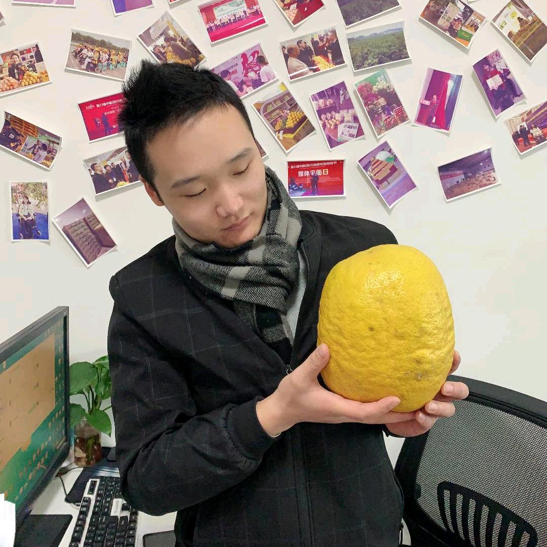 柠檬树下（小徐）