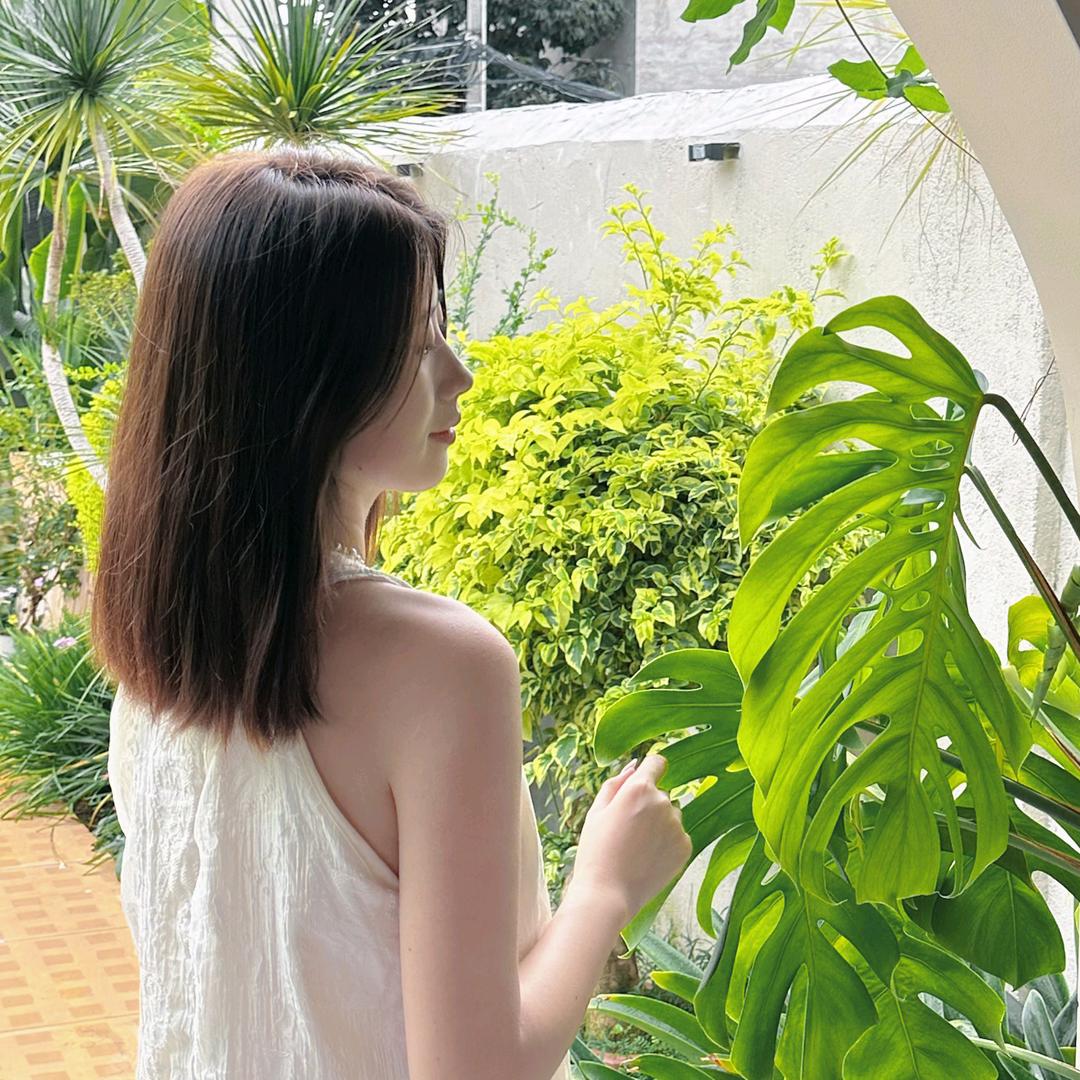 陈陈爆款好物