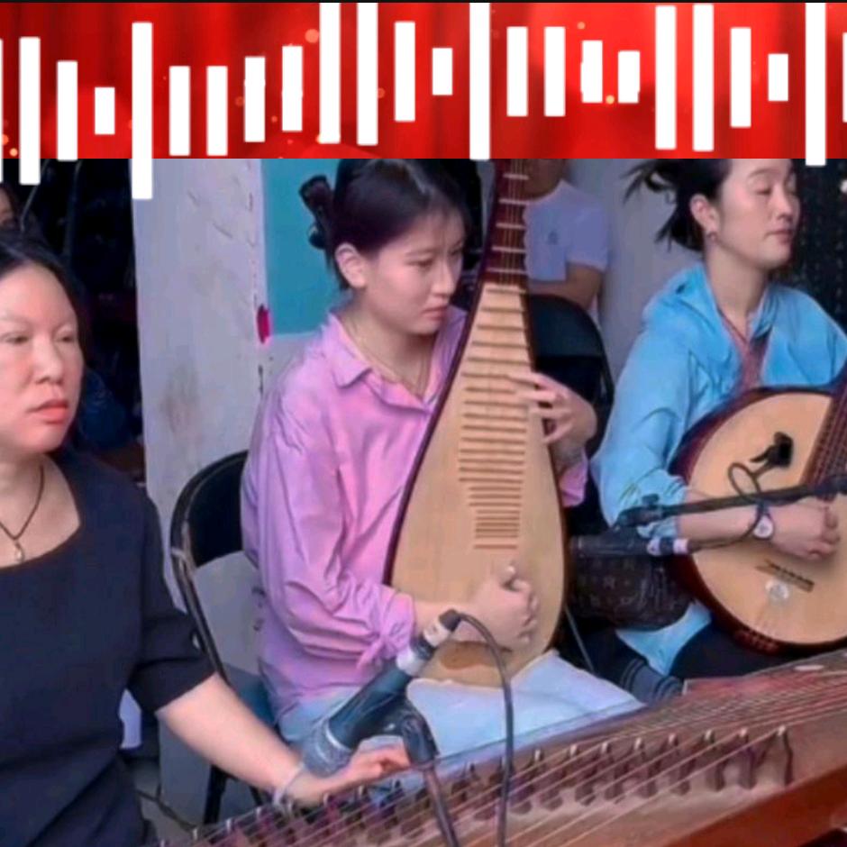 豫剧女板胡