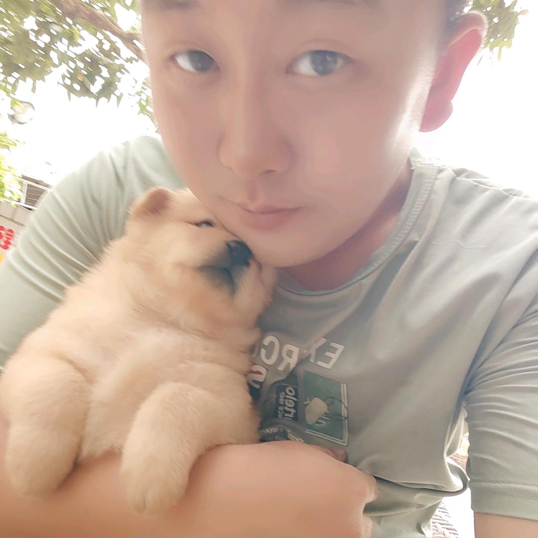 谭笑风生🐇