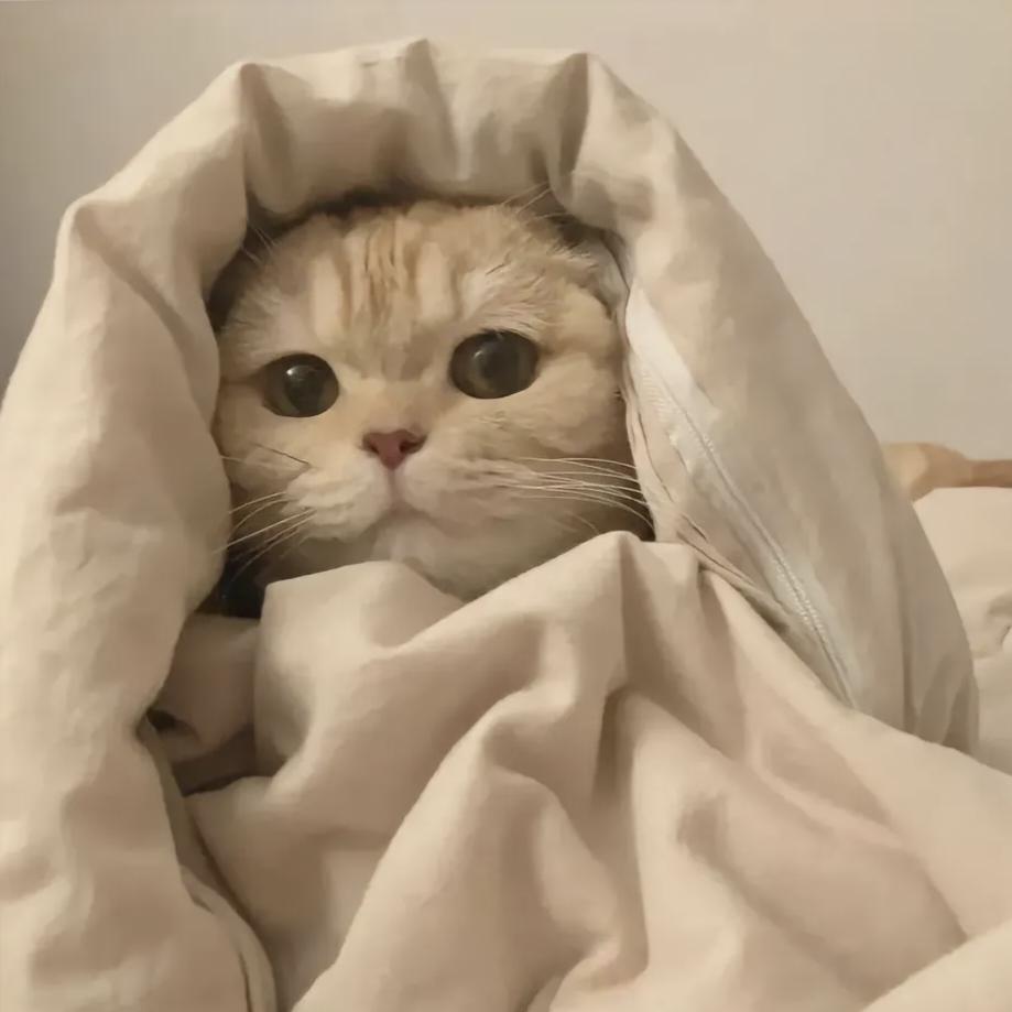 就喜欢臭美怎么了