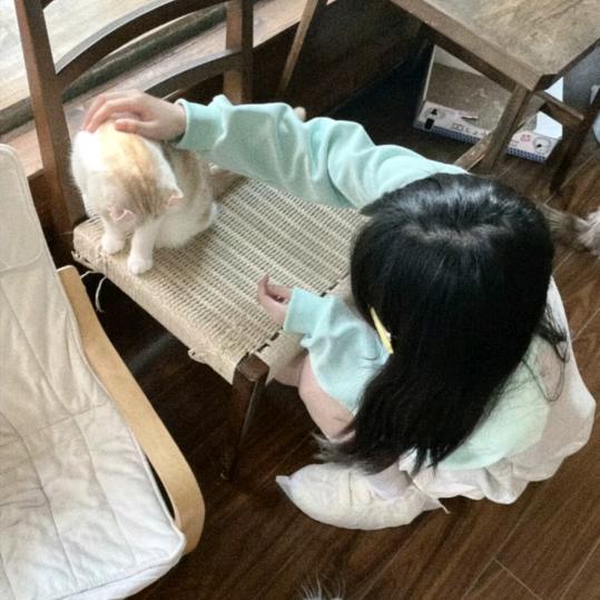 虞头泡泡.